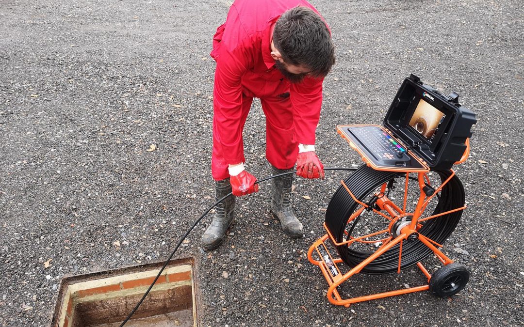 Root intrusion: early warning signs before major damage