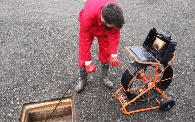 Root intrusion: early warning signs before major damage