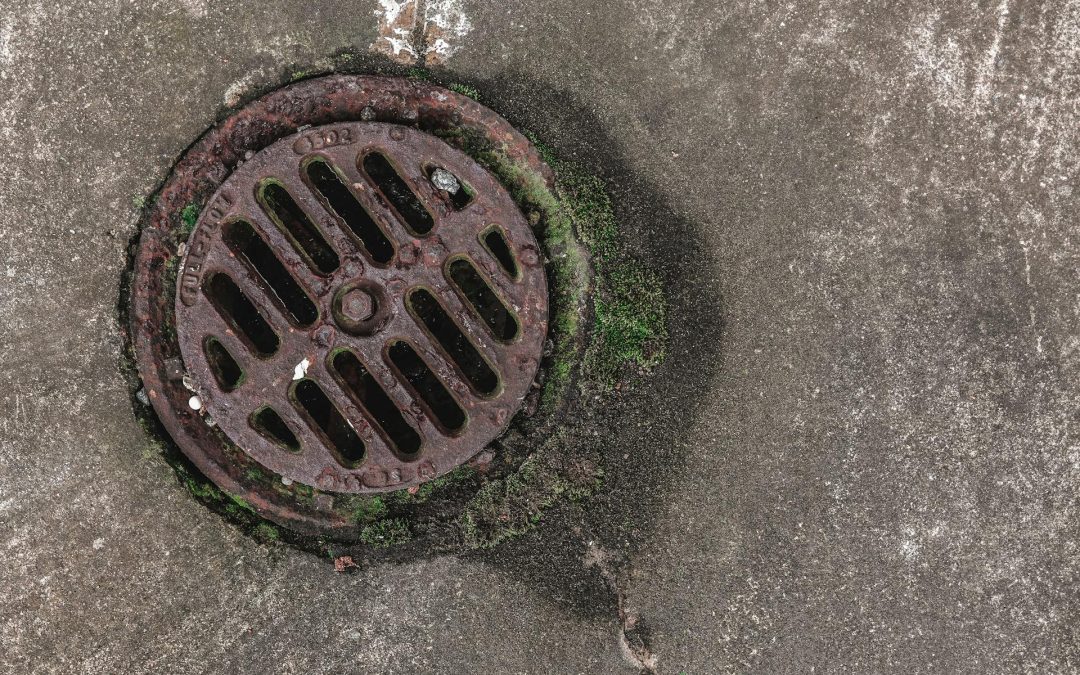 Why are my drains smelling? Causes & fixes in Honiton homes