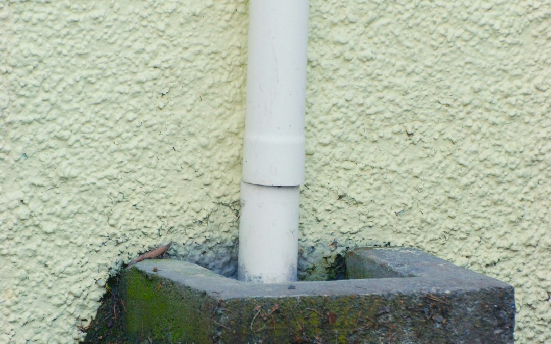 Drain maintenance for older properties (East Devon advice)
