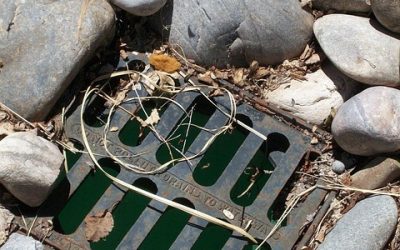 Recurring blocked drains in Devon how to fix